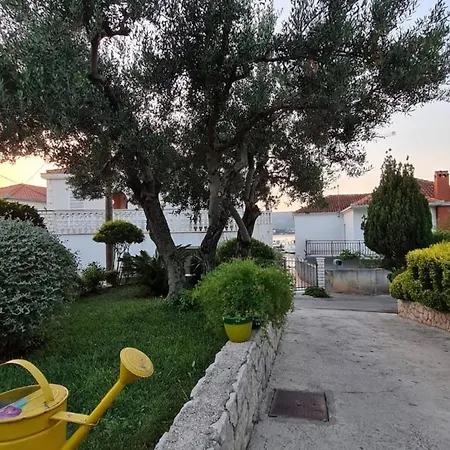 Jasmine Trogir