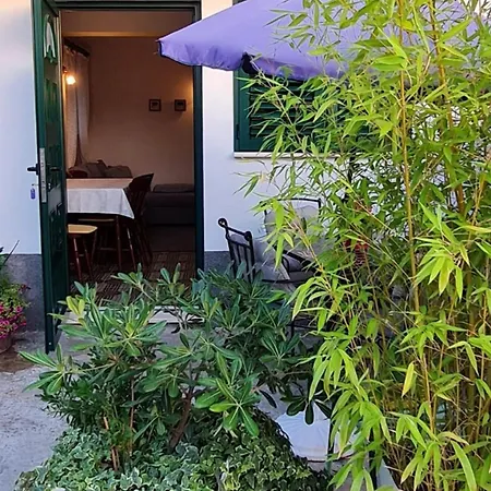 Jasmine 트로기르