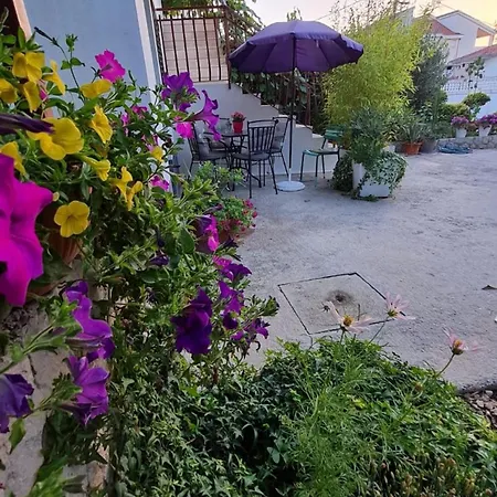 Jasmine Trogir